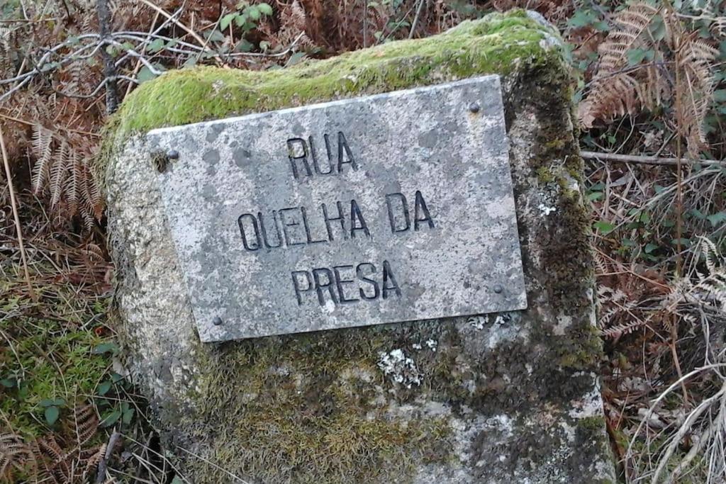 فيلا Casa Quelha Da Presa Espinho  المظهر الخارجي الصورة