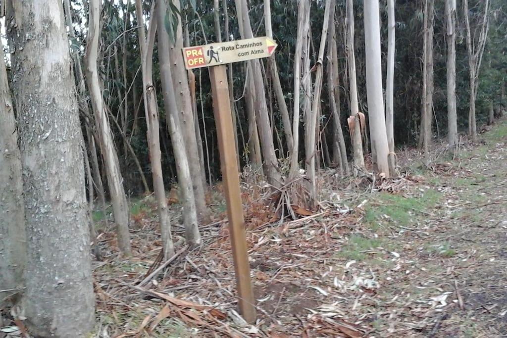 فيلا Casa Quelha Da Presa Espinho  المظهر الخارجي الصورة