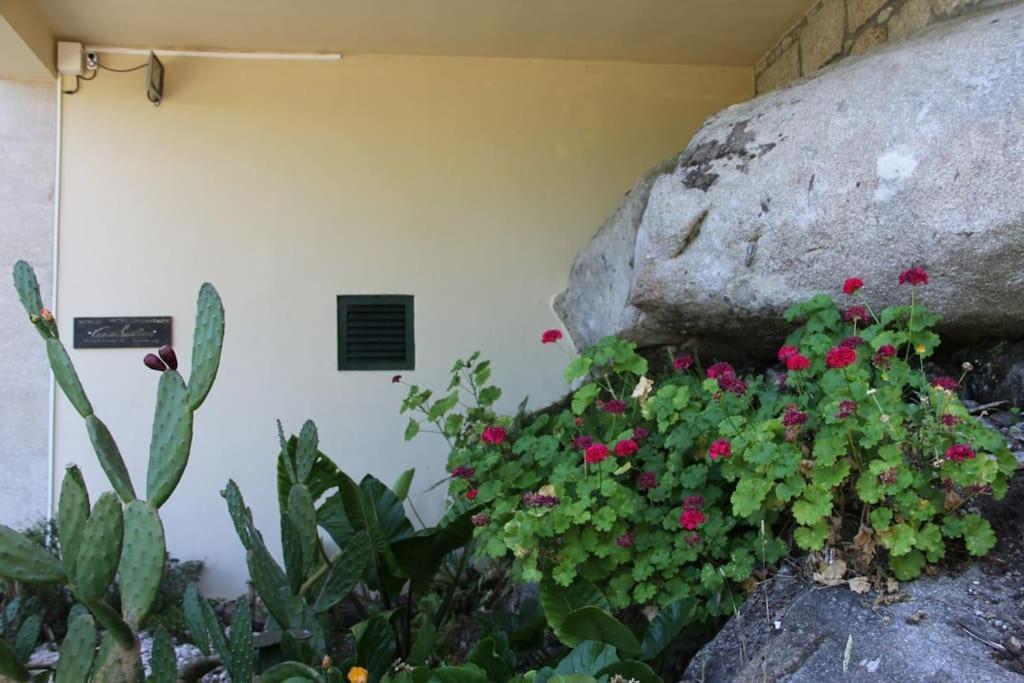 فيلا Casa Quelha Da Presa Espinho  المظهر الخارجي الصورة